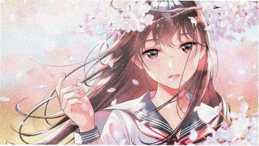 肖申克的救赎 经典影视 banner